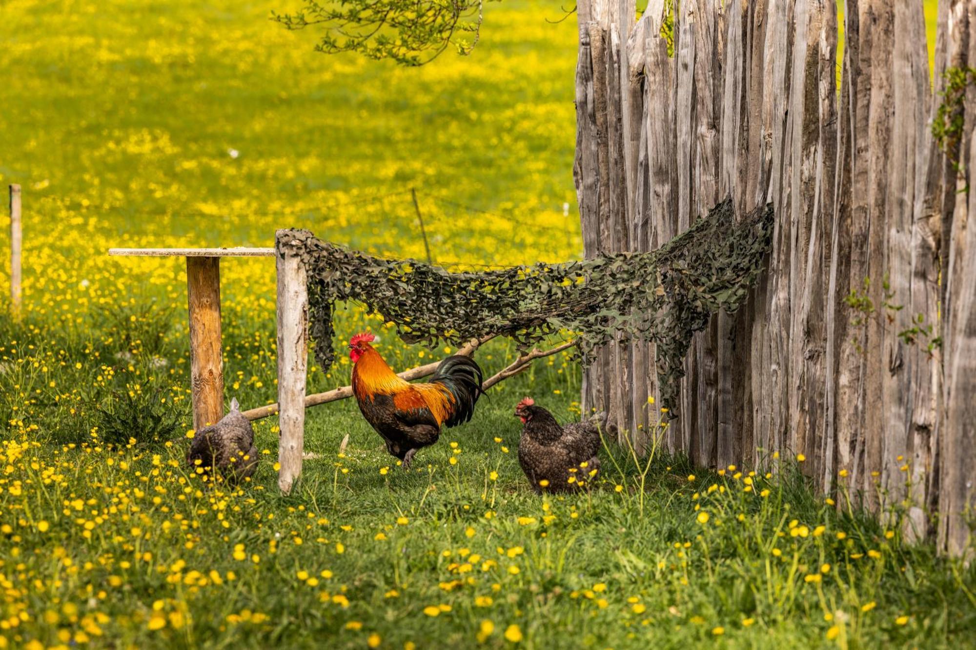 Ferienwohnungen Am Gablerhof Bad Reichenhall Zewnętrze zdjęcie